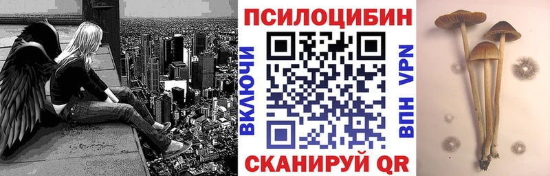 Галлюциногенные грибы Psilocybe  Купить  Петухово 