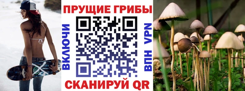 Галлюциногенные грибы Cubensis Петухово